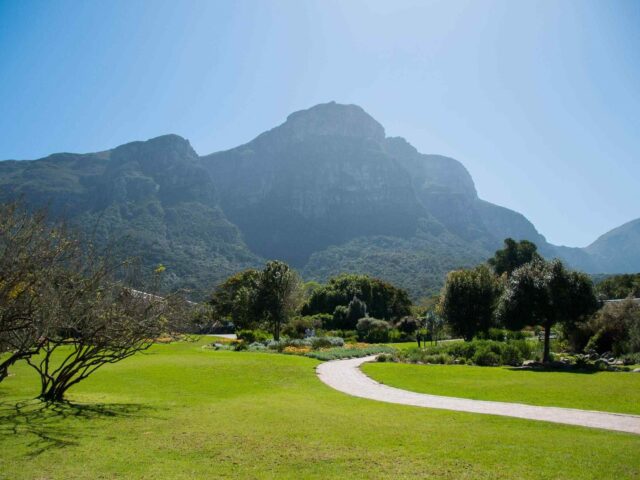 https://tourwithlocals.ae/wp-content/uploads/2018/08/post_capetown_04-640x480.jpg